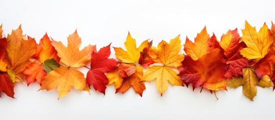 A top down view of a border frame made from vibrant autumn leaves isolated on a white background The image evokes the essence of autumn fall and Thanksgiving while showcasing the beauty of nature Per