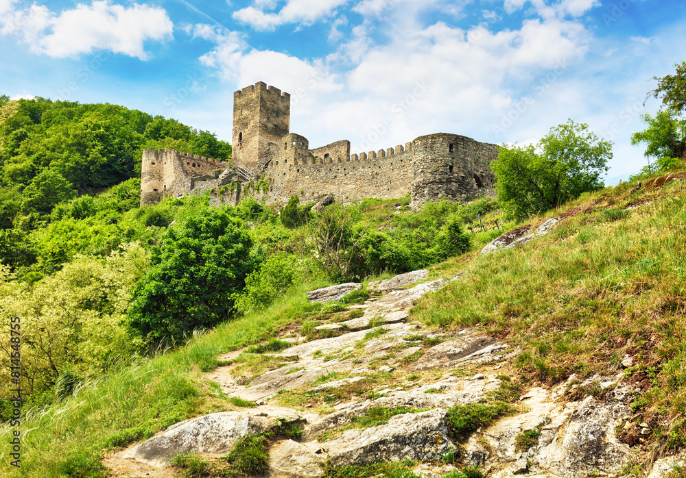 Wall mural Hinterhaus castle ruins (Ruine Hinterhaus), Spitz, Wachau, UNESCO site, Lower Austria, Austria