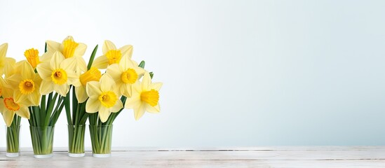 A bunch of vibrant yellow daffodils arranged on a white wooden table creating a visually appealing copy space image