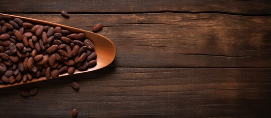 A spoon with cocoa beans and butter is placed on a wooden background leaving some empty space for additional images