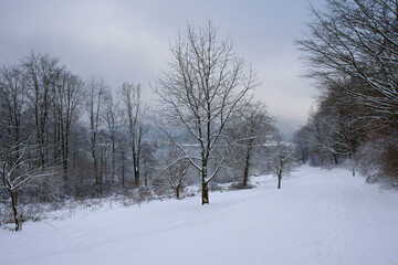 Winterlandschaft am Hennesee, Hennetalsperre, Naturpark Sauerland-Rothaargebirge, Meschede, Sauerland, Nordrhein-Westfalen, Deutschland, Europa