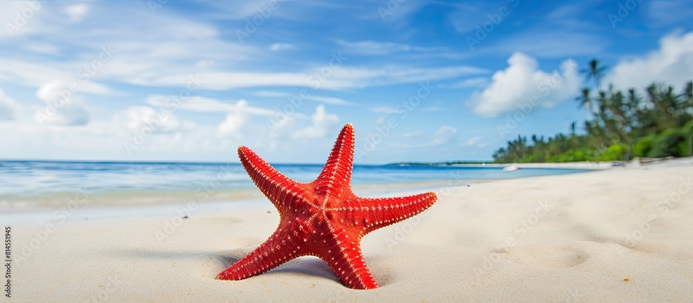 Poster A vibrant red starfish rests on a beautiful tropical beach creating a picturesque scene ideal for copy space images