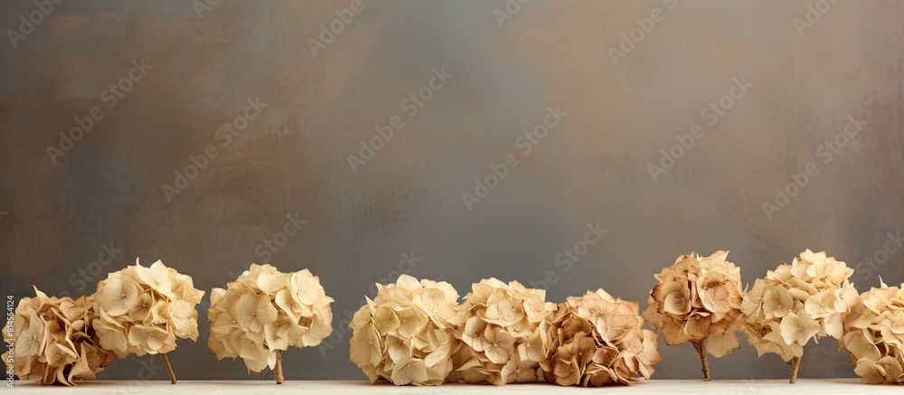 Aufkleber natural dried hydrangeas withered and arranged in a copy space image