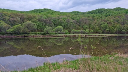 Beauty of nature, lake in the forest