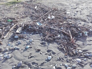 Flood and storm debris on beach. Lot of debris - dead wood with dirt and plastic pieces collected...