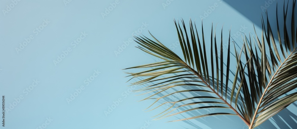 Poster A hazy silhouette of palm leaves casts a shadow against a soft blue wall creating a minimalist abstract backdrop for showcasing products Perfect for spring and summer promotions Copy space image
