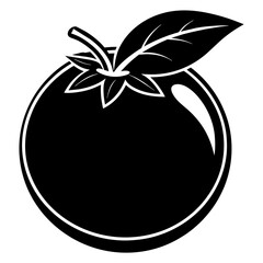 blueberry illustration 