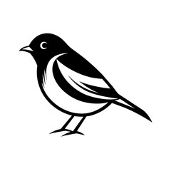 illustration of a robin bird