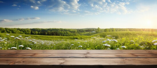 Obraz premium A springtime panorama of a sun filled landscape with a wooden table in the foreground providing ample copy space for images