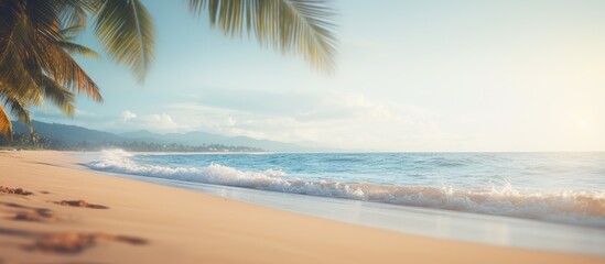 Fototapeta premium A blurred image of a sandy beach with palm trees in the background evoking a tropical atmosphere Ideal for summer vacation and travel themes with room for text. with copy space image