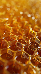 Orange honeycomb closeup