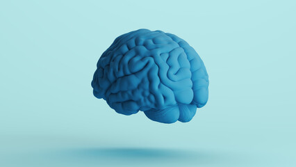 Blue human brain anatomy organ intelligence neurology think mind soft tones background rear left view 3d illustration render digital rendering	