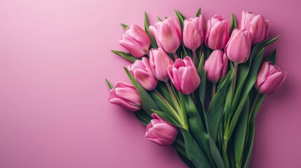 Fototapeta premium Beautiful pink tulips bloom on a soft pink canvas in a celebration of Mothers Day