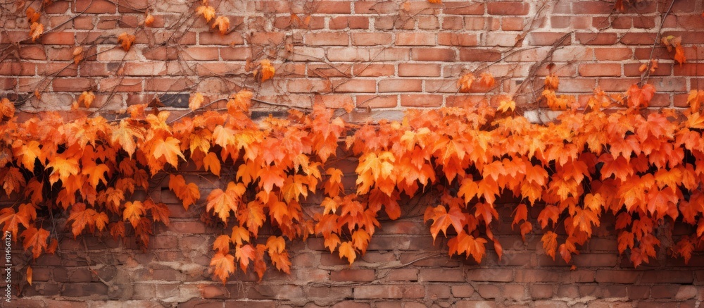 Poster Image of a brick wall covered in vibrant orange leaves providing an eye catching autumn display. with copy space image. Place for adding text or design