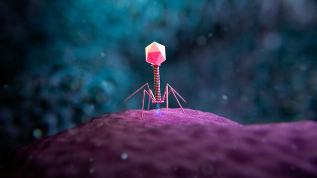 Phage therapy, illustration