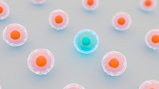 Cell type identification, conceptual illustration