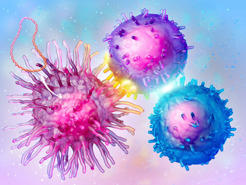 DNA vaccine immune response, illustration