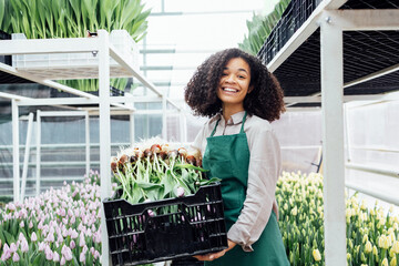 Young smiling african woman in casual wear and green apron holding box with tulip seedlings - Powered by Adobe