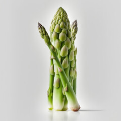 asparagus on a white background