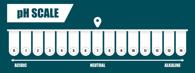 pH value scale chart for acid-alkaline solution. PH scale science design vector illustration. Colorful graph for test. Chart for the Acidic Neutral and Alkaline pH of various liquids and solvent.PH