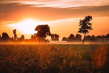 Sunset and golden hour - countryside fields