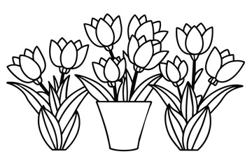 Illustration with flowers tulips outline style vector design