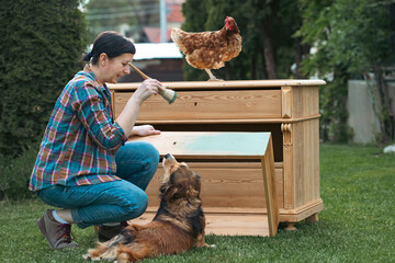 Woman painting a wooden furniture with her pets on the farm. DIY, working together concept.