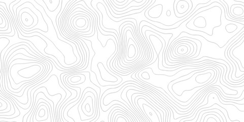 Vector geographic contour map. Topography map background. Black and white wave Seamless line. Topography relief. White wave paper curved reliefs abstract.
