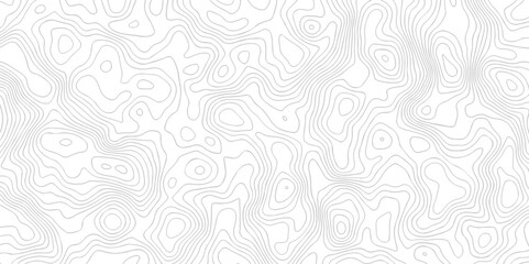Vector geographic contour map. Topography map background. Black and white wave Seamless line. Topography relief. White wave paper curved reliefs abstract.