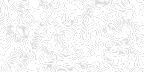 Vector geographic contour map. Topography map background. Black and white wave Seamless line. Topography relief. White wave paper curved reliefs abstract.
