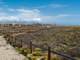 Paraje Natural Punta Entinas-Sabinar, catalogado como Espacio Natural Protegido. Roquetas de Mar,...