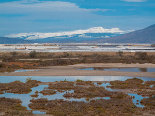 Paraje Natural Punta Entinas-Sabinar, catalogado como Espacio Natural Protegido. Roquetas de Mar, Almería, Andalucía, España.