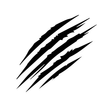  animal claw scratches mark isolated