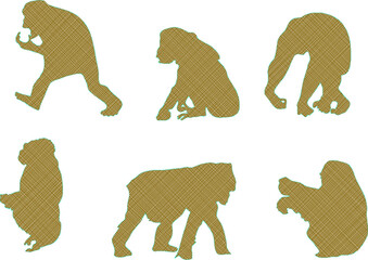 vector illustration sketch design animal drawing primate monkey chimpanzee