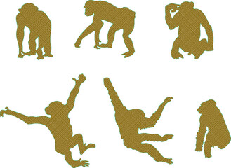 vector illustration sketch design animal drawing primate monkey chimpanzee