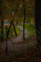 autumn park rural environment natural space with October falling leaves cover on ground and spiral walking road vertical photography