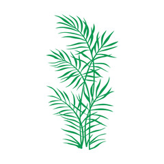 Vector illustration of a collection of lush green leaves on a pristine white background