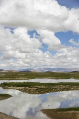 Scenic view of a tranquil lake in a field on a cloudy day