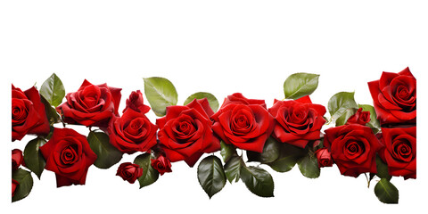crown of red roses isolated on transparent backgound 