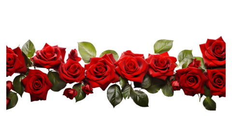 crown of red roses isolated on transparent backgound 