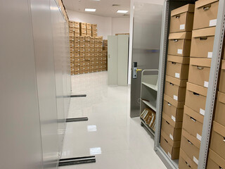 Between filing shelves and cabinets: inside a documentation storage warehouse (3)