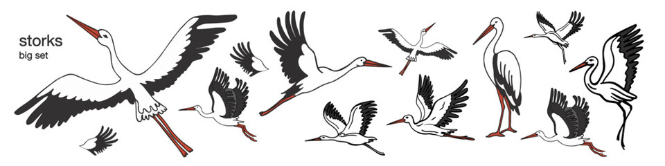 	
Isolated set of storks in different poses.. Vector illustration of storks on white background, village and birds.