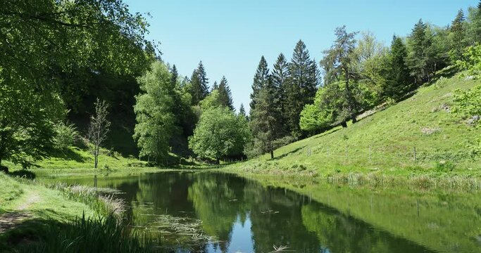 Der Letzbergweiher bei Schönau im Schwarzwald. Kleiner idyllischer Teich inmitten friedlicher Natur am Fuß des Leitzbergs via Schönauer Philosophenweg
