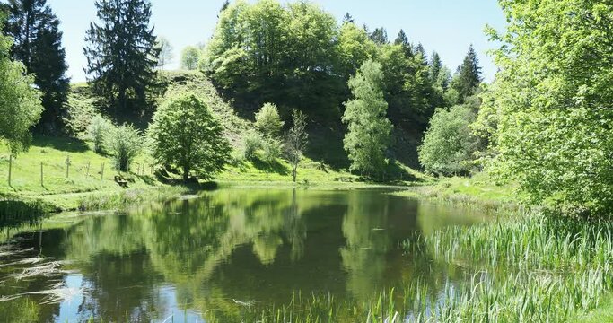 Der malerische Letzbergweiher oberhalb von Sch&ouml;nau im Schwarzwald. Ort der Ruhe und Entspannung zwischen dem Philosophen-weg und dem Aufstieg zum Letzberg
