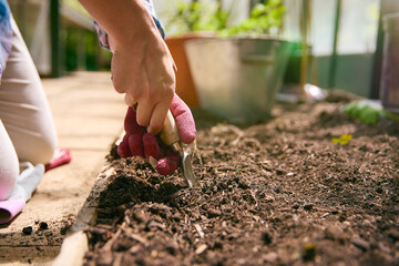 Close Up Of Woman Gardening In Greenhouse Preparing Soil For Planting Seeds