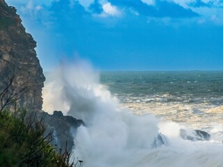 waves crash on a rocky beach near some rocks and trees