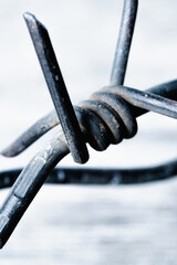 Close up barbed wire against white background. Conceptual image of violence, totalitarian regime,...