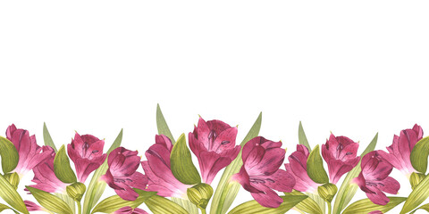 Bright buds of alstroemeria, exotic pink flower. Watercolor illustration. Horizontal banner of flowers with greenery. For spring card design, background, packaging, flower shop