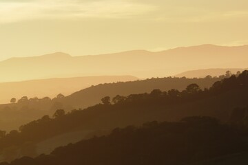 trees and hills are illuminated in the dusk while a plane flies by