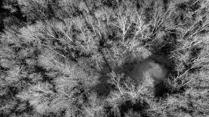 Autumn Aerial Tapestry: Nature's Final Brushstroke.